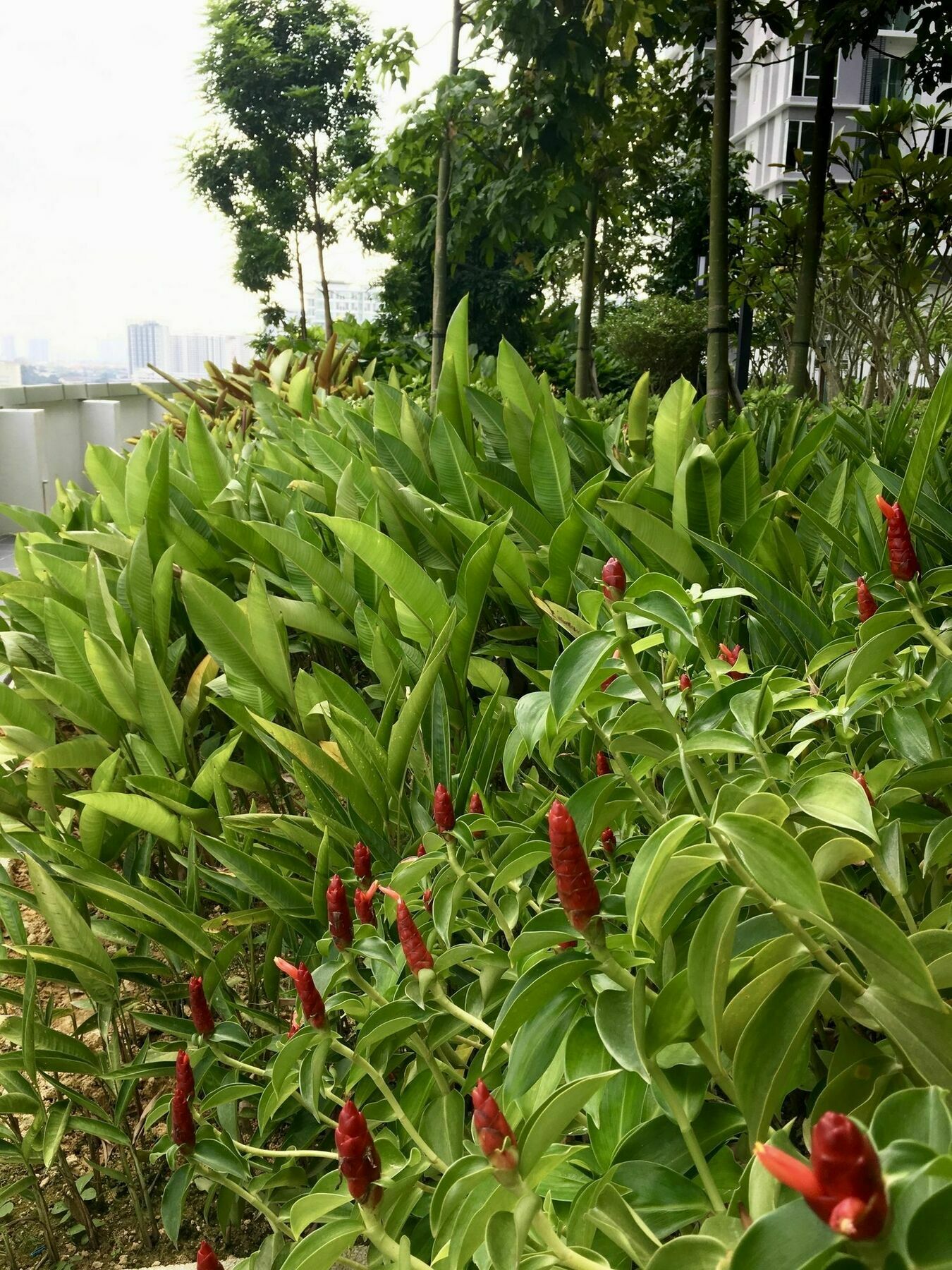 Southbank Residence Block B, Mid Valley @ De Space Kl 吉隆坡 外观 照片